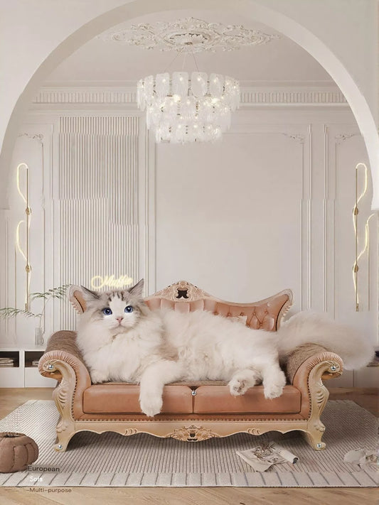 57c78a89-a162-41a1-853f-7e7b93ef5320-Max-Origin