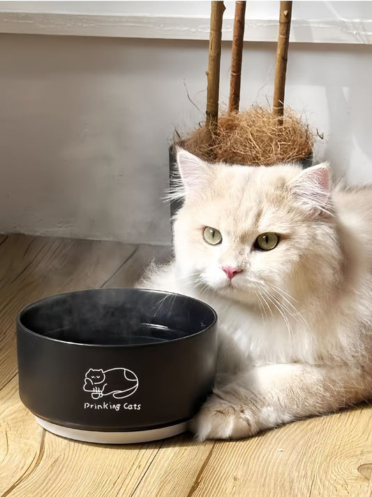 15201781-818d-43ba-9240-6f08fee27b2f-Max