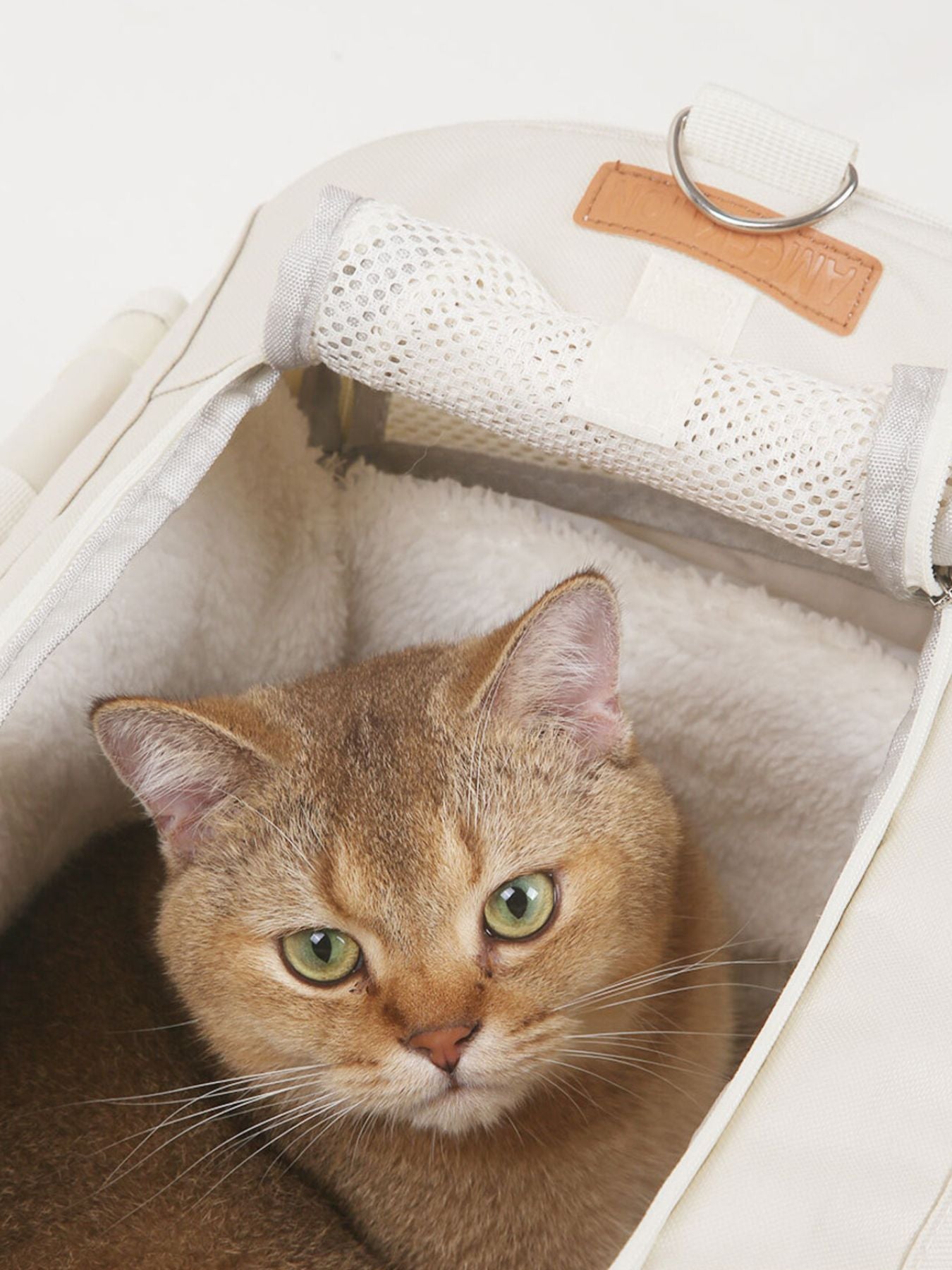 2921f62c-1a09-447f-b39c-11d62b09a378-Max