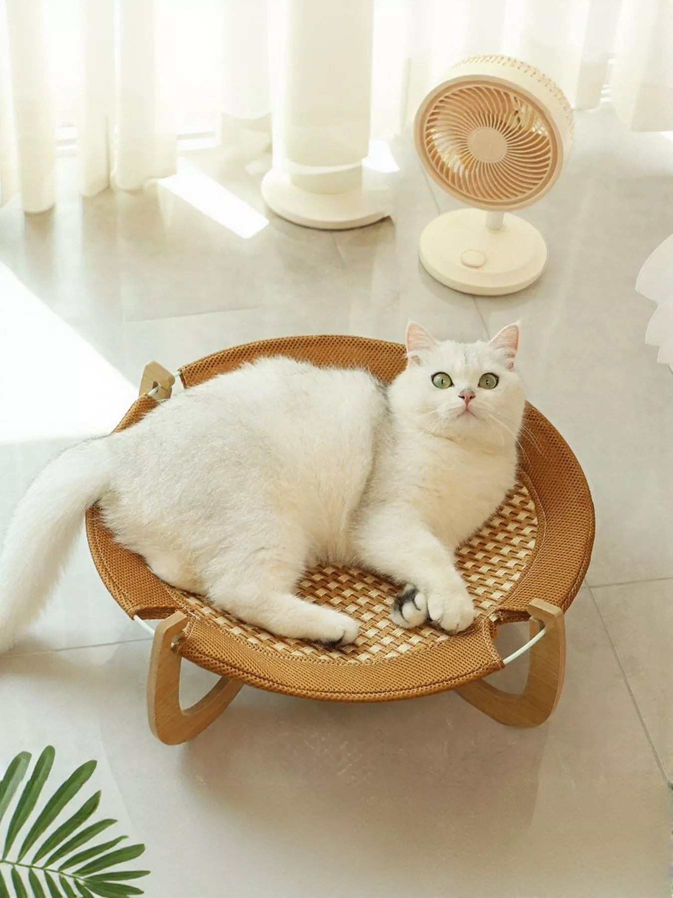 618c05a1-970d-406b-a787-461fe166ca2d-Max-Origin