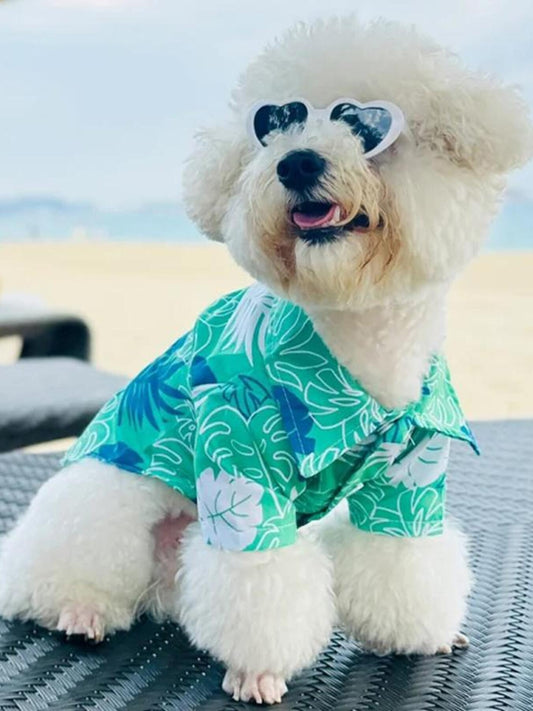 6a1f6d46c38c4854b062ce01a5927b5c-Max