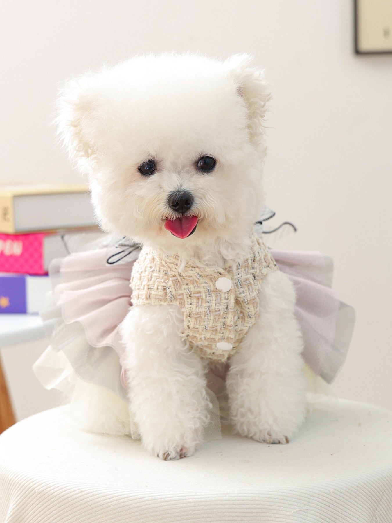 Tweed Pet Dress with Ruffle - jeansmahones.com