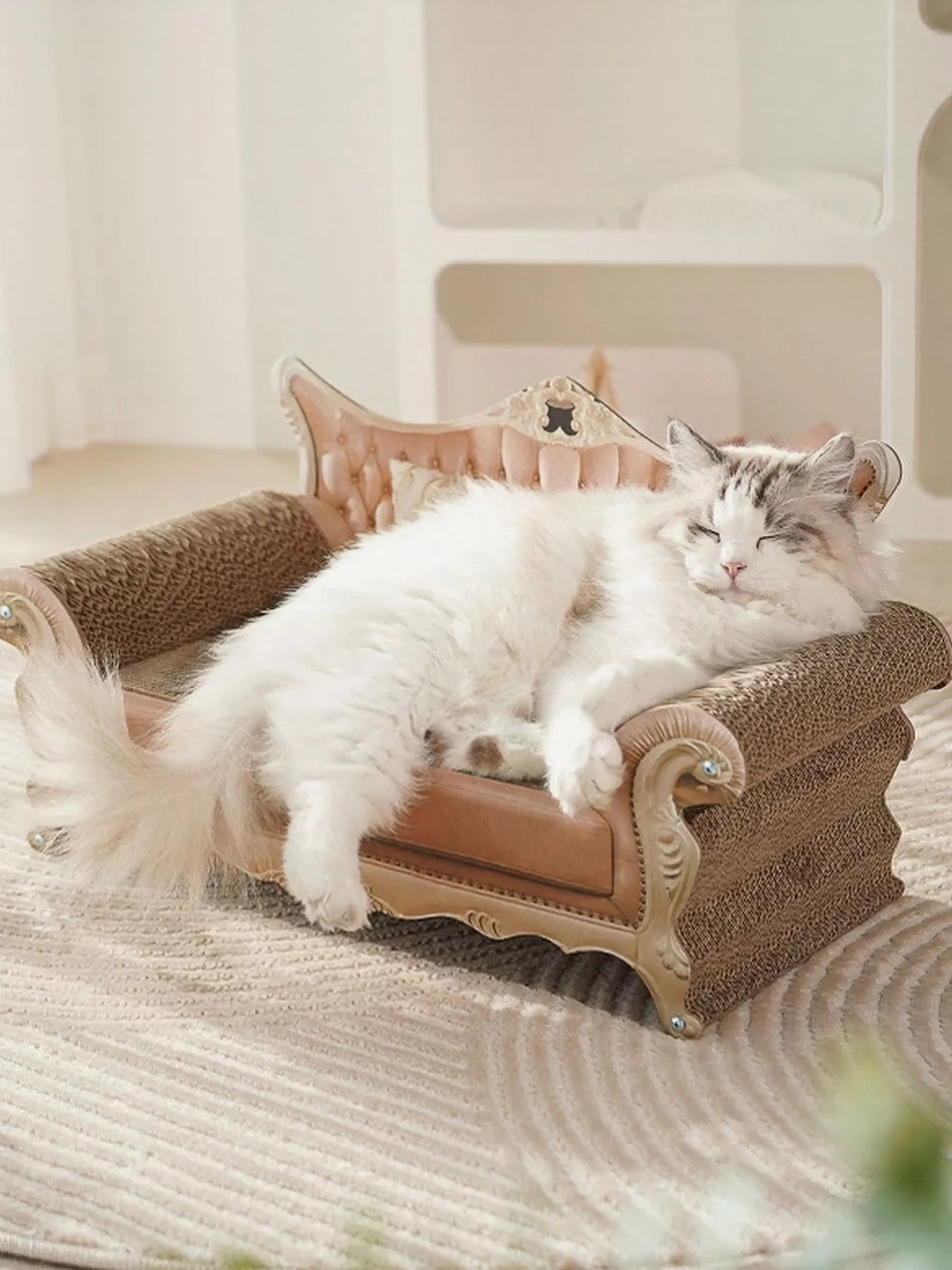 6f552d7a-b771-4d32-9523-efce8edeea91-Max-Origin