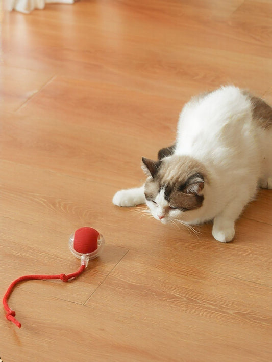 816c66a9-11d5-4805-baf2-303feac0d8f1-Max