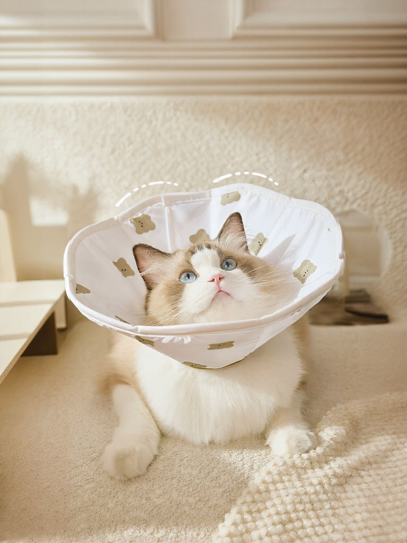 92daa255-6b9c-44fa-81bc-caa586482e3c-Max